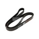 COURROIE CRANTEE OEM-DAYCO 8PK2043HD